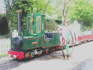 Locomotive Tazsheen at Willowbank station