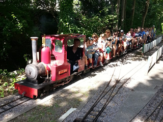 Locomotive Tazsheen at Willowbank station